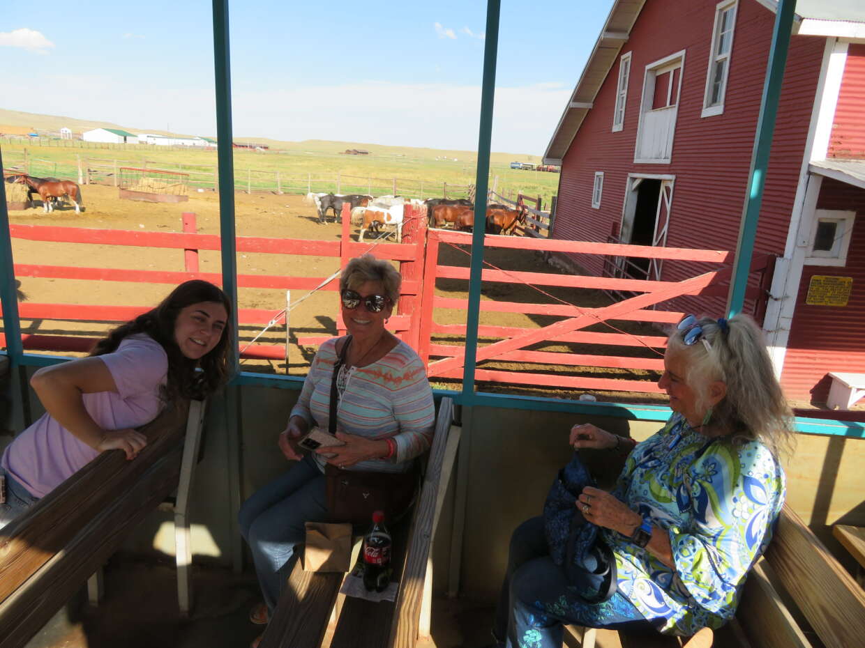 Terry Bison Ranch Train Ride Train Ride Through Terry Bison Ranch thru 27,000 acres and 2,500 Bison ...